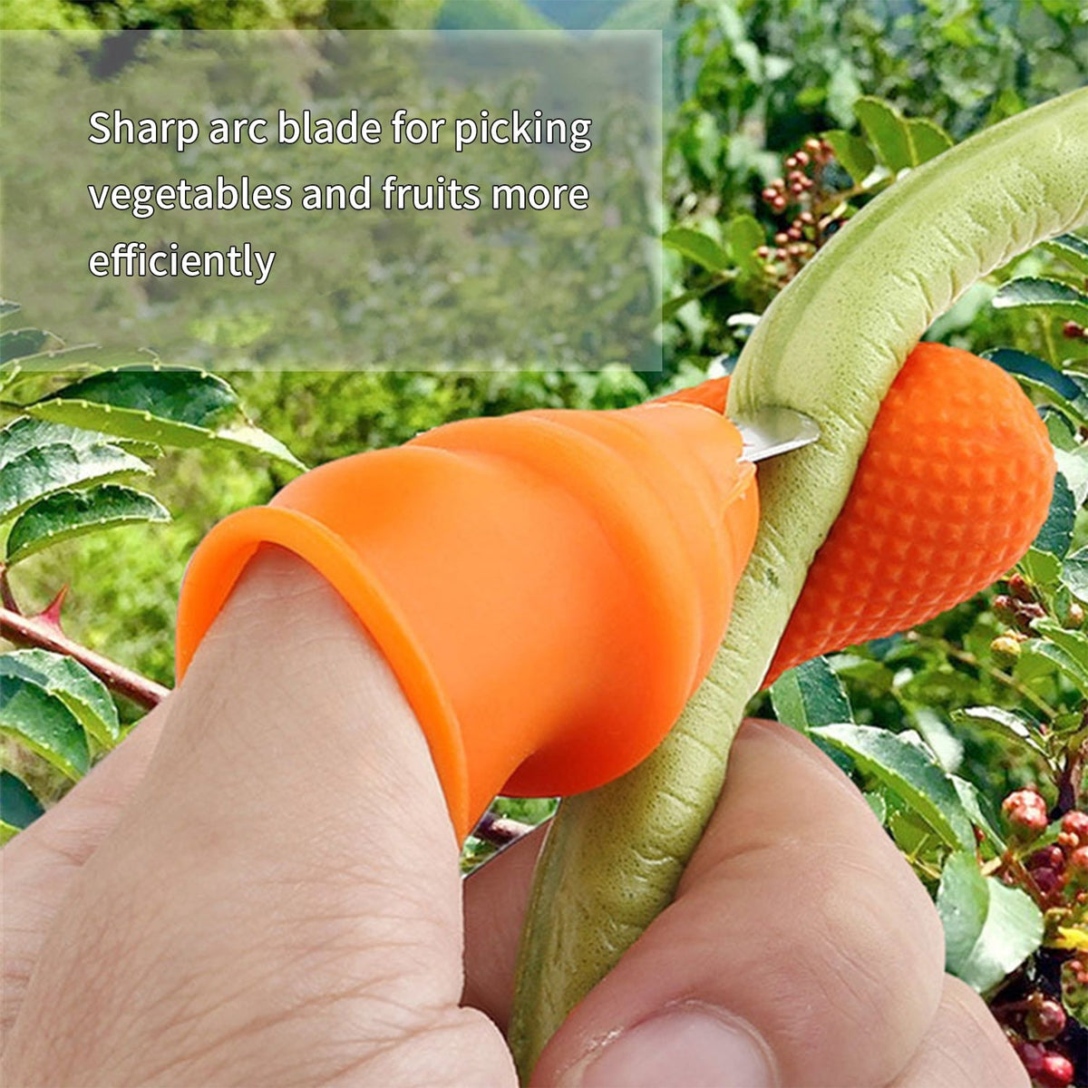 Vegetable Thumb Cutter
