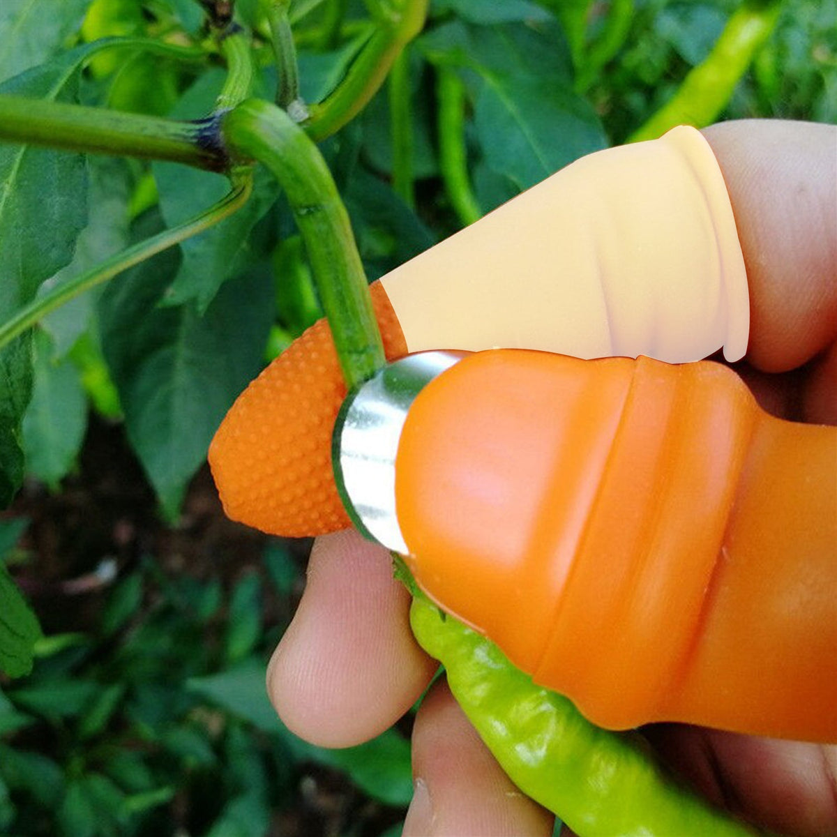 Vegetable Thumb Cutter