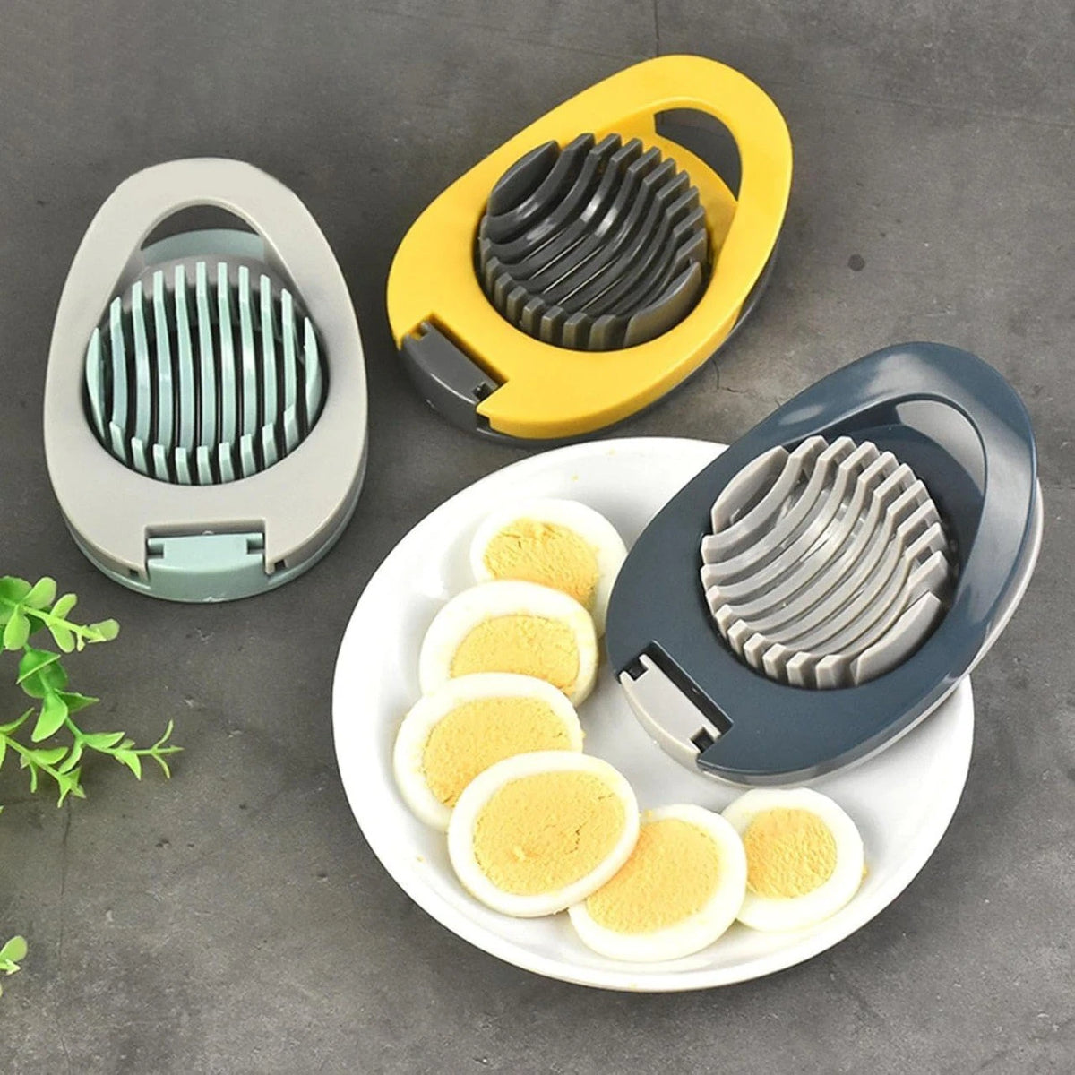 Egg Slicer