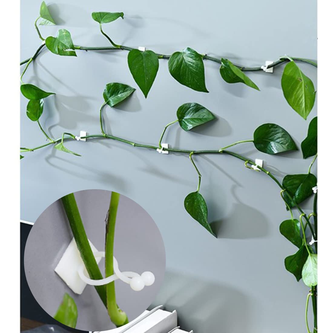 Wall Plant Hook