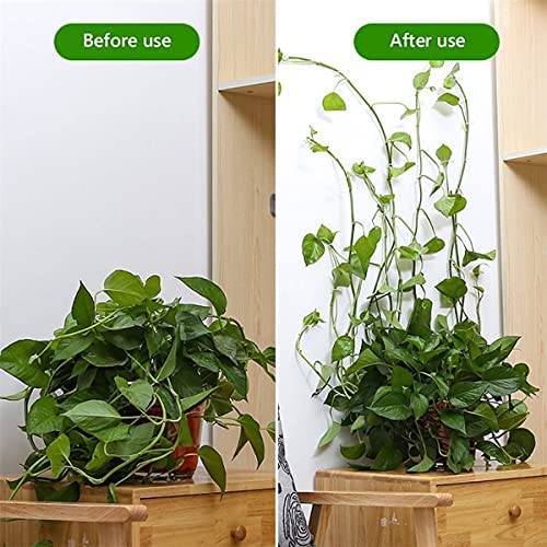 Wall Plant Clip